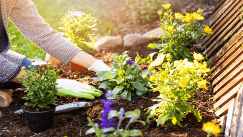 Moving With a Garden: What to Take, What to Leave, and How to Plan It