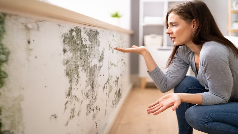 What Kansas Home Inspectors Don’t Always Tell You About Mold Risks