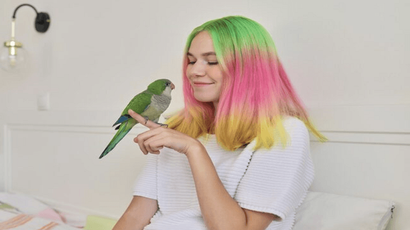 Dealing with Legal but Uncommon Animals in Rentals