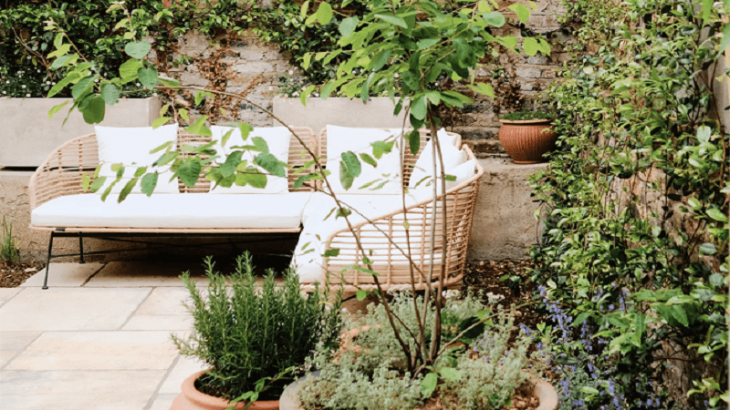 How Garden Centers Help You Build a Low-Maintenance Home Garden