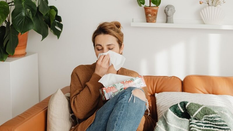 The Real Cost of Ignoring Mold in Raleigh Homes