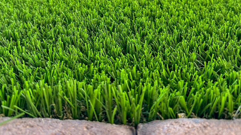 What to Look for When Choosing Commercial Turf Suppliers