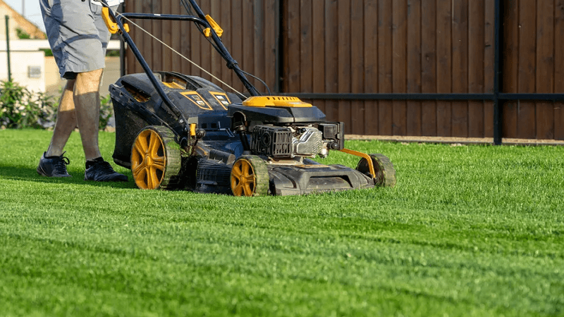 How Regular Lawn Mowing Prevents Expensive Garden Problems
