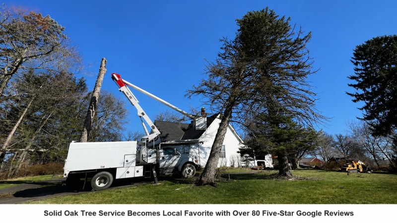 Solid Oak Tree Service Becomes Local Favorite with Over 80 Five-Star Google Reviews