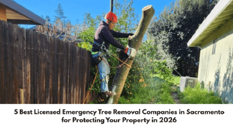 5 Best Licensed Emergency Tree Removal Companies in Sacramento for Protecting Your Property in 2026