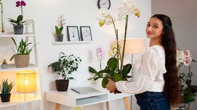 Practical Tips for Creating an Organized and Stylish Home