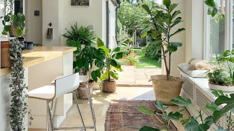 Indoor Garden with Easy-Care Plants