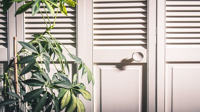 Renovating a Closet Into a Discreet Home Cultivation Station