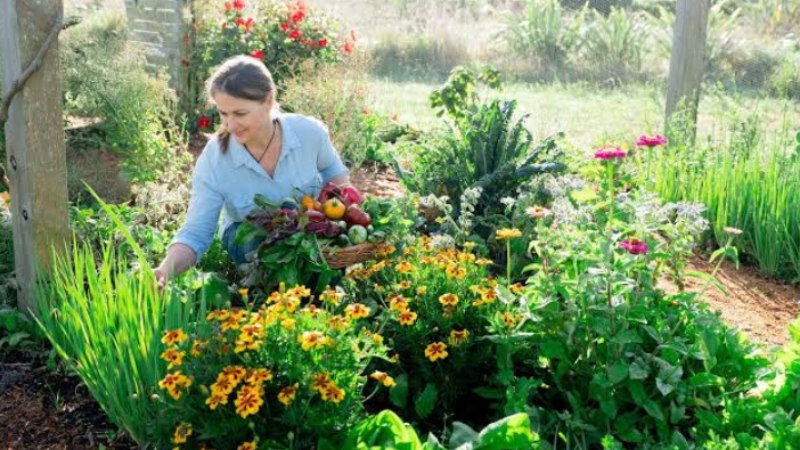 plant nursery Jacksonville NC